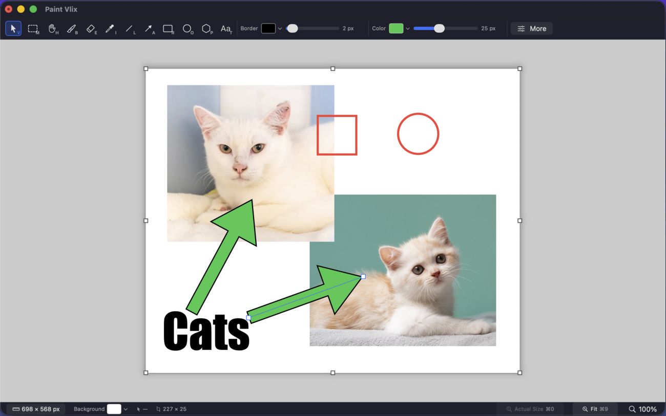 Paint Vlix marking up two photos with green callout arrows, a red rectangle, a red circle, and bold text reading Cats