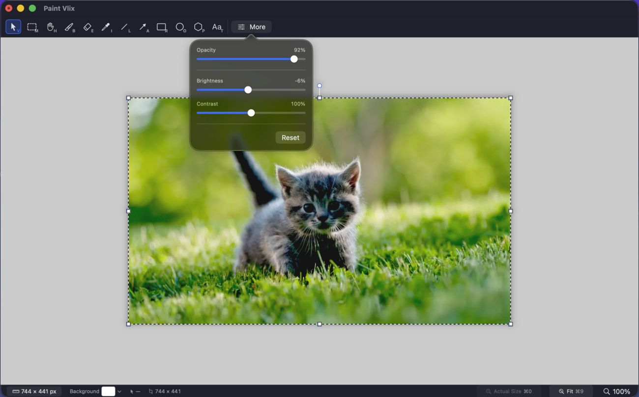 Paint Vlix showing the More panel with opacity, brightness, and contrast sliders adjusting a photo of a kitten